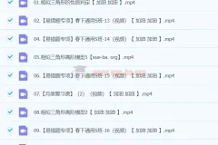 2024春下初二数学人教版刘岩数学S班课程