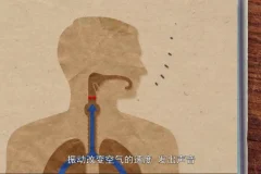 奇妙世界120问：儿童科普百科动画