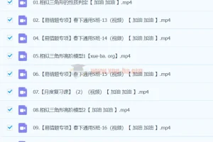 2024春下初二数学人教版刘岩数学S班课程