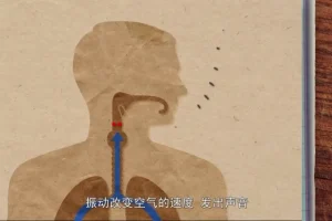 奇妙世界120问：儿童科普百科动画