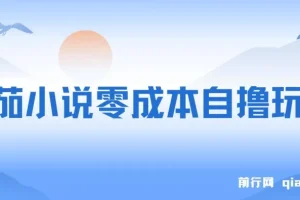 番茄小说零成本半自动自撸玩法，每日收益可观