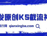 首发原创KS截流神器：手机端ID采集截流工具