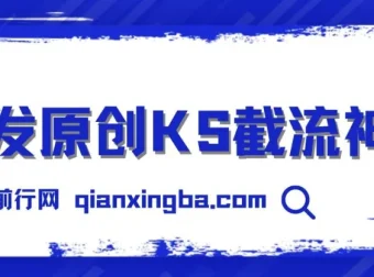 首发原创KS截流神器：手机端ID采集截流工具