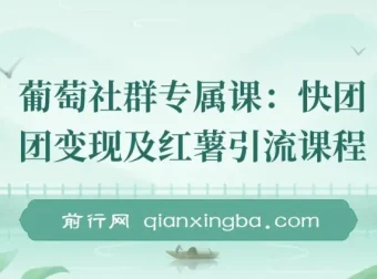 【精】快团团变现与小红书引流课程：解决流量、变现、帮卖痛点，实现月入3w+