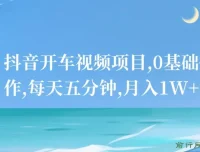 抖音开车视频项目：0基础操作指南