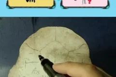 199节甲骨文解密：从象形字到汉字的演变全解析课程