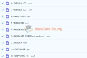 李辉手机视频拍摄美学课：0基础开启手机视频创作之旅