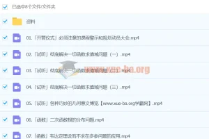 2024高三高考数学树栋全程班：助力高考数学冲刺