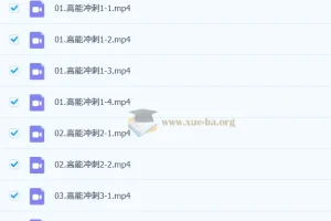 2026考研数学：周洋鑫笑过数学核心考点高能冲刺（冲刺班）