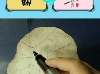 199节甲骨文解密：从象形字到汉字的演变全解析课程