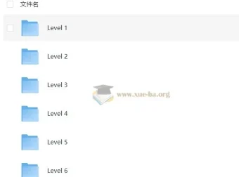 有道分阶写作课 (Level 1 – 6)：小学语文写作提升课程