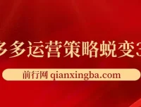 大力老师·2024拼多多运营策略蜕变3.0：提升认知与实现盈利课程