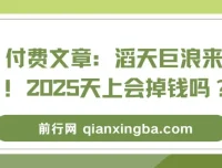 付费文章：滔天巨浪来袭！2025天上会掉钱吗？——经济形势与风口解读