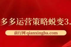 大力老师·2024拼多多运营策略蜕变3.0：提升认知与实现盈利课程