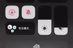 2024知识付费项目入门教程：小白轻松掌握变现技巧