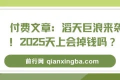 付费文章：滔天巨浪来袭！2025天上会掉钱吗？——经济形势与风口解读