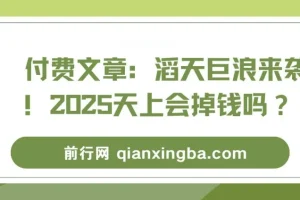 付费文章：滔天巨浪来袭！2025天上会掉钱吗？——经济形势与风口解读