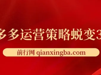 大力老师·2024拼多多运营策略蜕变3.0：提升认知与实现盈利课程