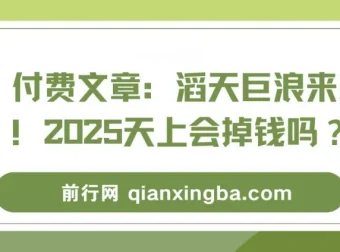 付费文章：滔天巨浪来袭！2025天上会掉钱吗？——经济形势与风口解读