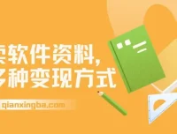 卖软件资料新手变现攻略：多种收益途径详解