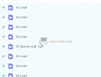 林缘考研暑假集训营