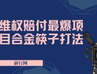 维Q赔付：合金筷子玩法，小白也能月入5w+的风口项目实操