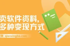 卖软件资料新手变现攻略：多种收益途径详解