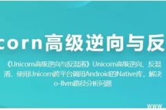 Unicorn 高级逆向工程与代码反混淆实战课程