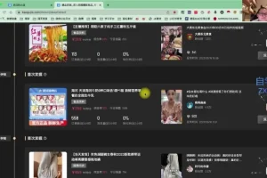 小红书零门槛带货：月入过万轻松上手资料