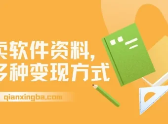 卖软件资料新手变现攻略：多种收益途径详解