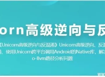 Unicorn 高级逆向工程与代码反混淆实战课程
