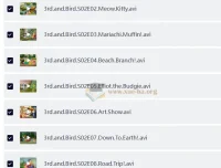 BBC儿童性格培养动画《小鸟3号》第1 – 2季（视频+音频）