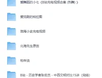 B站绝版充电视频合集：价值千金的知识与娱乐宝库