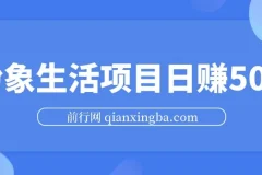 粉象生活项目：日赚500指南