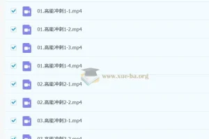 周洋鑫考研数学阶段3核心考点高能冲刺冲刺班