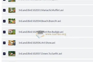 BBC儿童性格培养动画《小鸟3号》第1 – 2季（视频+音频）