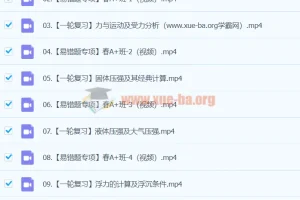 2023 – 2024初三物理廉思佳寒假培训班