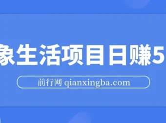 粉象生活项目：日赚500指南