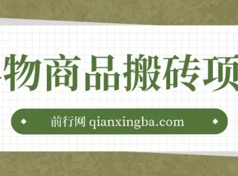 得物商品搬砖项目：低买高卖的盈利项目