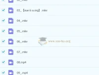 2023春上小学语文二年级A+课程（于戈子琦）