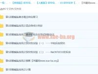 2012中考化学专题：元素化合物之酸碱盐复习课程