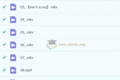 2023春上小学语文二年级A+课程（于戈子琦）