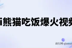 Ai熊猫吃饭爆火原创视频作品：轻松日入300+且简单易懂