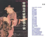 《中国古代禁毁言情小说》套装18册 [pdf]