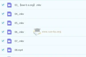 2023春上小学语文二年级A+课程（于戈子琦）