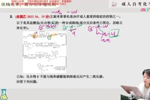 2024张梅高三化学二轮复习：电化学/元素周期律/实验专题精讲课程