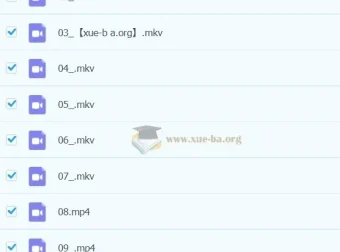 2023春上小学语文二年级A+课程（于戈子琦）