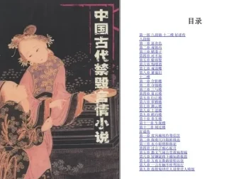 《中国古代禁毁言情小说》套装18册 [pdf]
