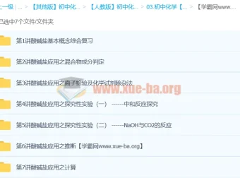 2012中考化学专题：元素化合物之酸碱盐复习课程