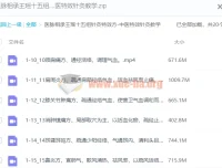 医脉相承：王瑶十五组针灸特效方中医特效针灸教学课程